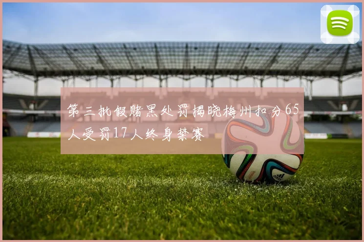 第三批假赌黑处罚揭晓梅州扣分65人受罚17人终身禁赛