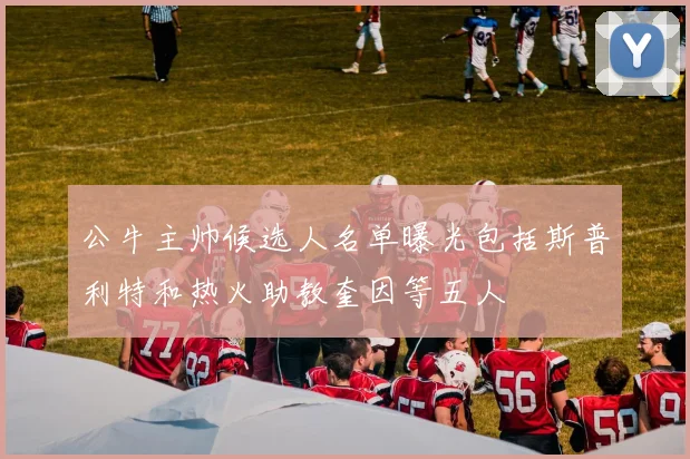 公牛主帅候选人名单曝光包括斯普利特和热火助教奎因等五人